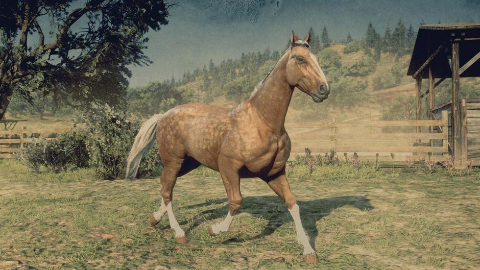 Red Dead Redemption 2 Ахалтекинская лошадь