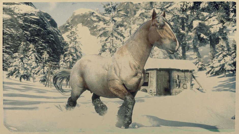 Rdr 2 Мустанг