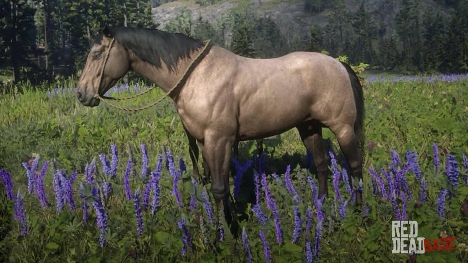 Rdr2 Буланая рысак