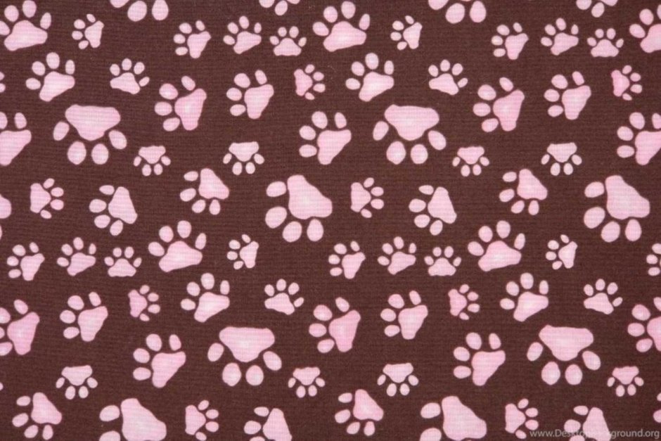 Фон кошачьи лапки