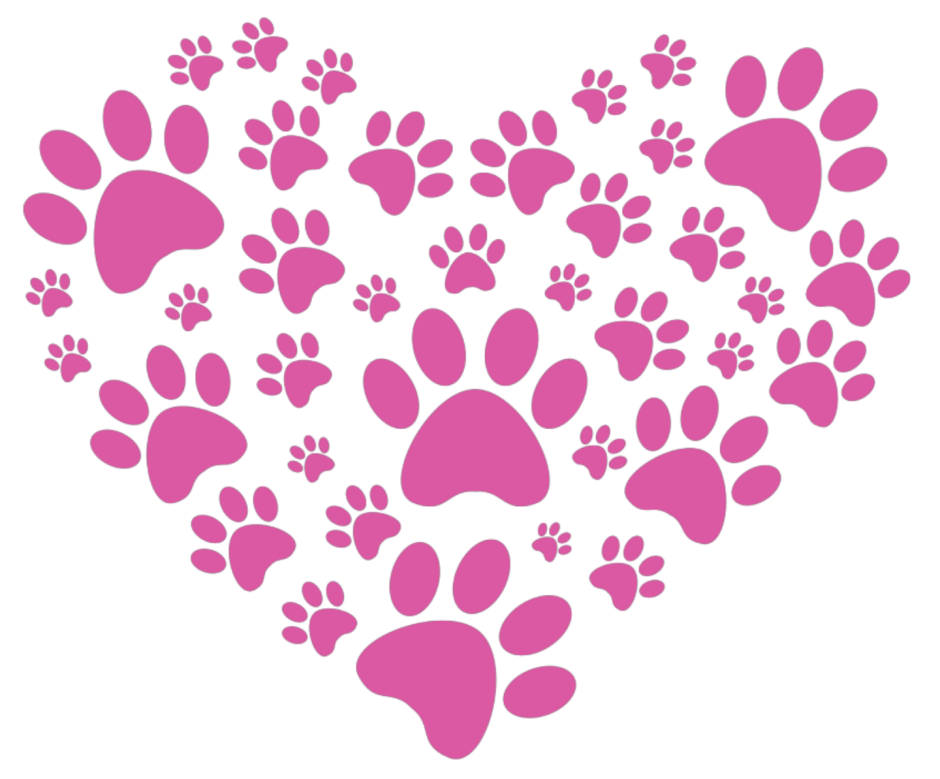 Следы лапок