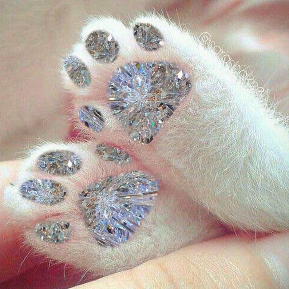 Ногти кошачьи лапки пушистые