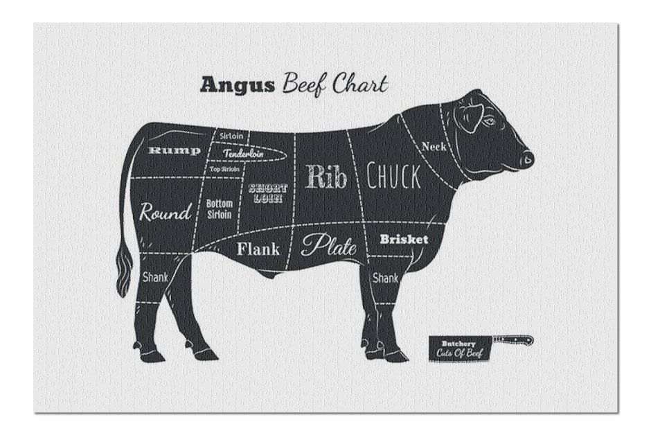Black Angus bull