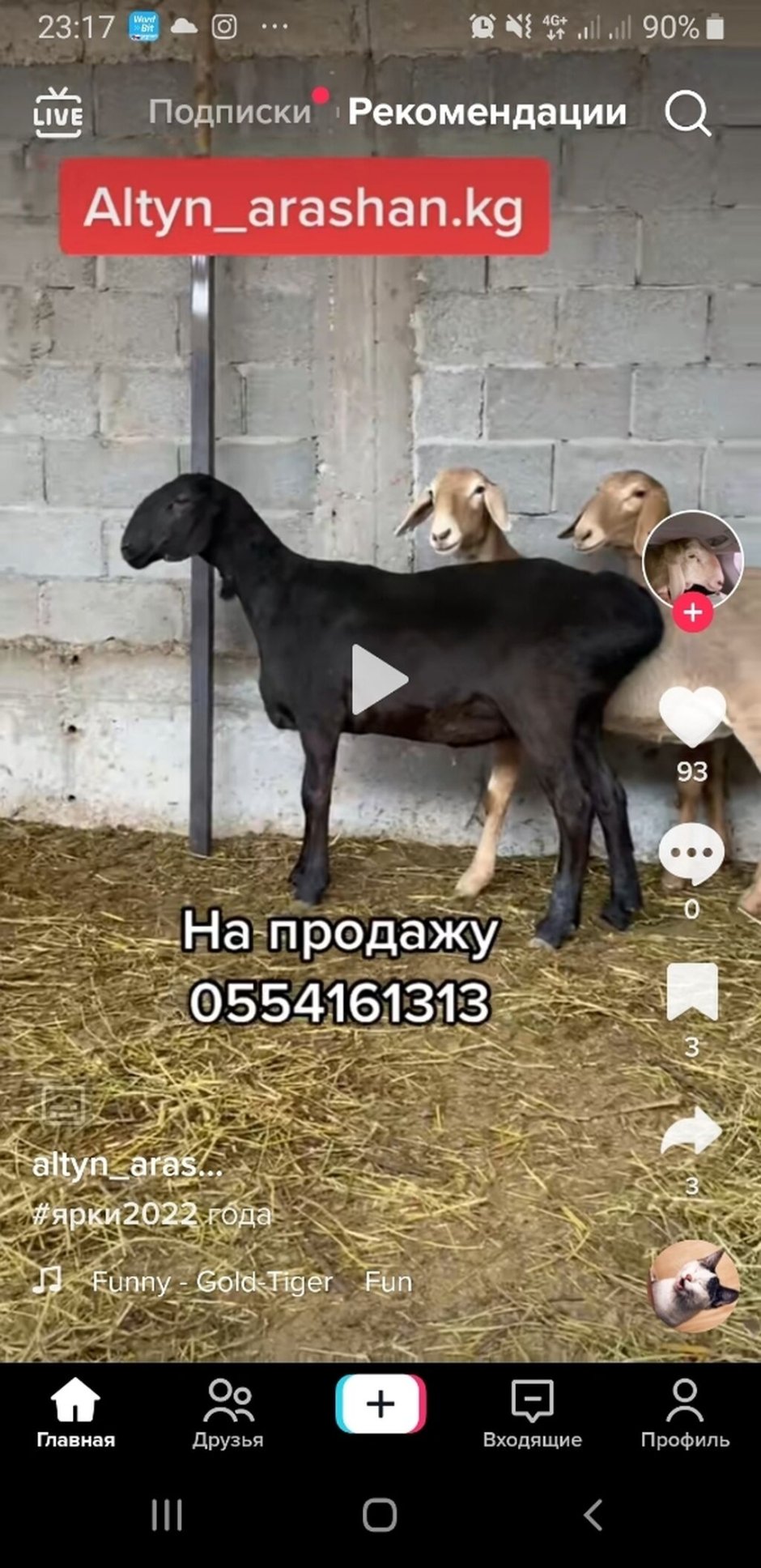 Олень и баран