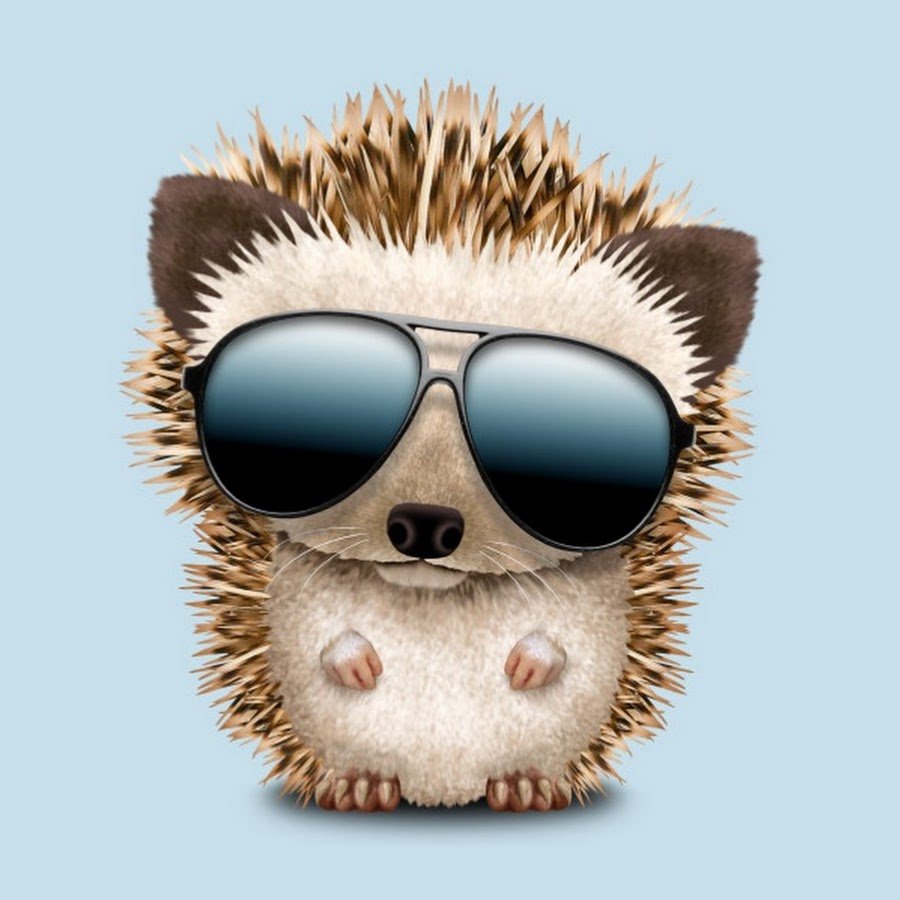 Крутой Ежик