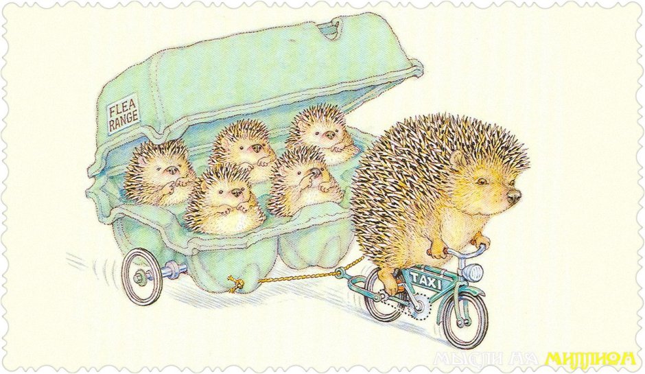 Ежик на мотоцикле