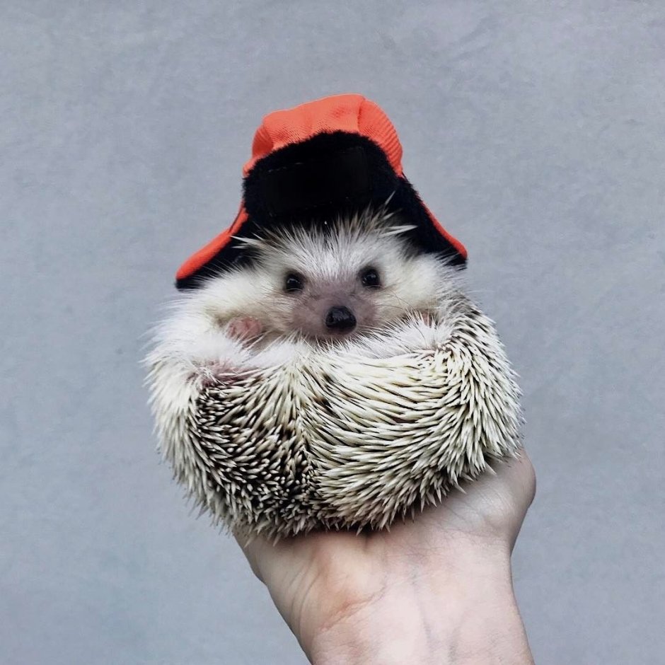 Шапка 'Ёжик'