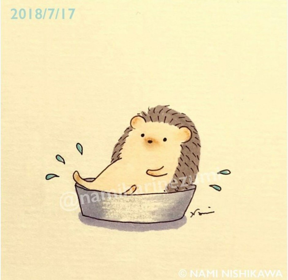 Ежик умывается