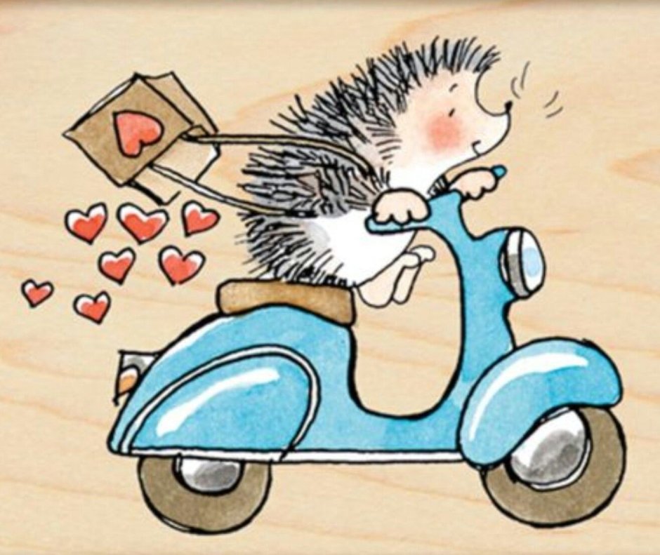 Ежик на машинке