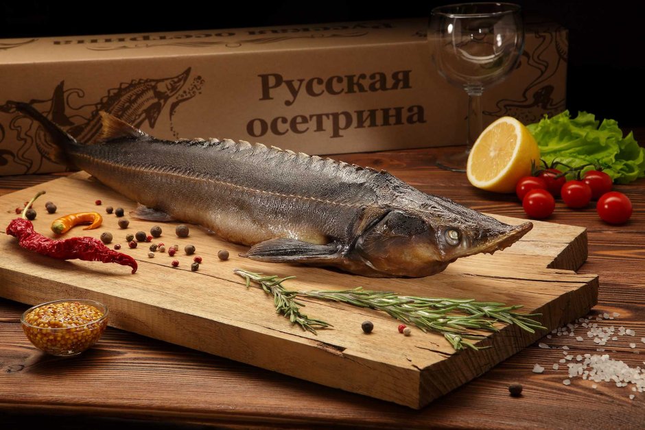 Осетр Белуга