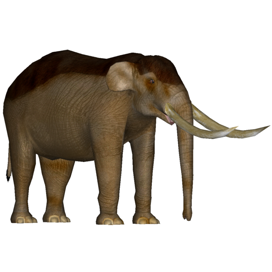 Deinotherium Eofauna