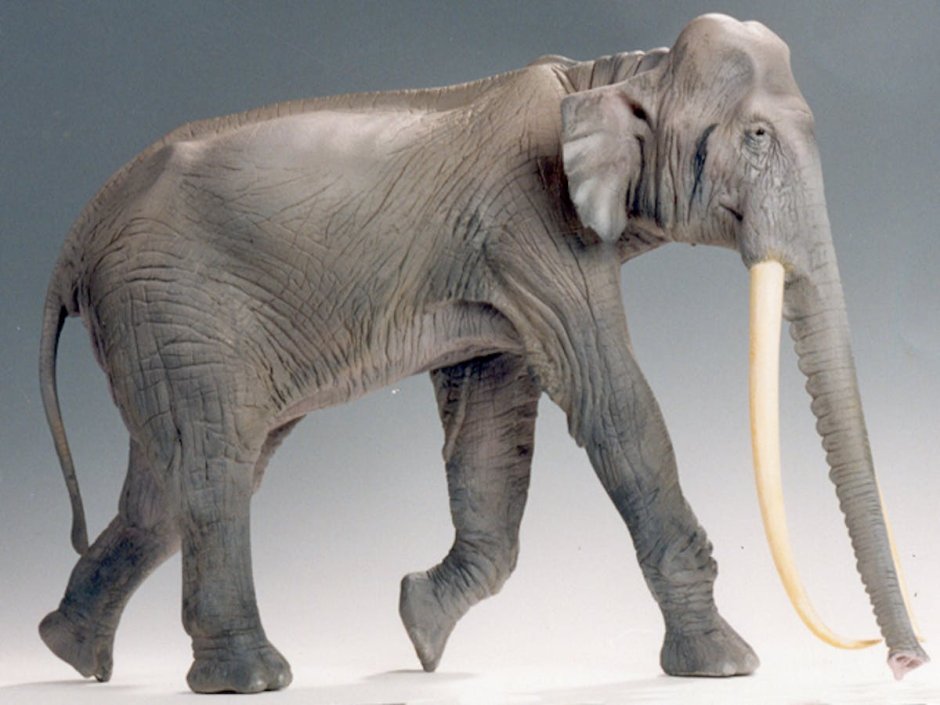 Palaeoloxodon antiquus