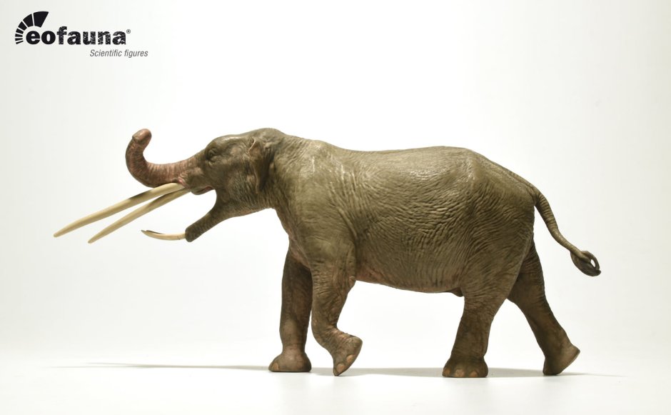 Palaeoloxodon PNG