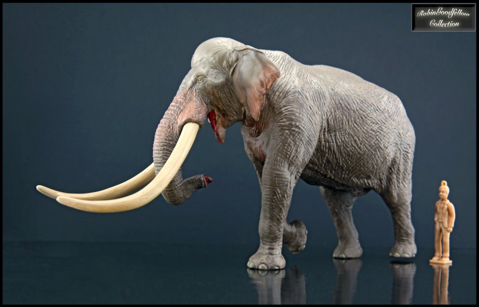 Прямобивневый слон Palaeoloxodon