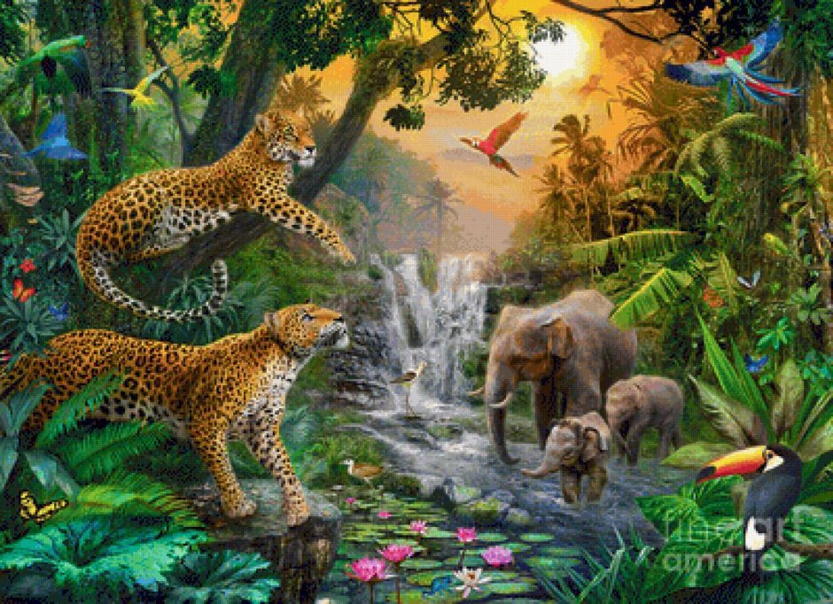 Тропический лес животные