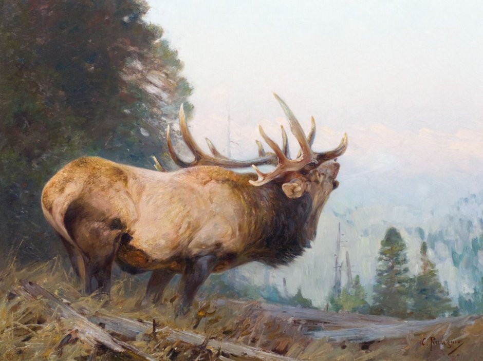 Художник Карл Брендерс Carl Brenders олень Deer