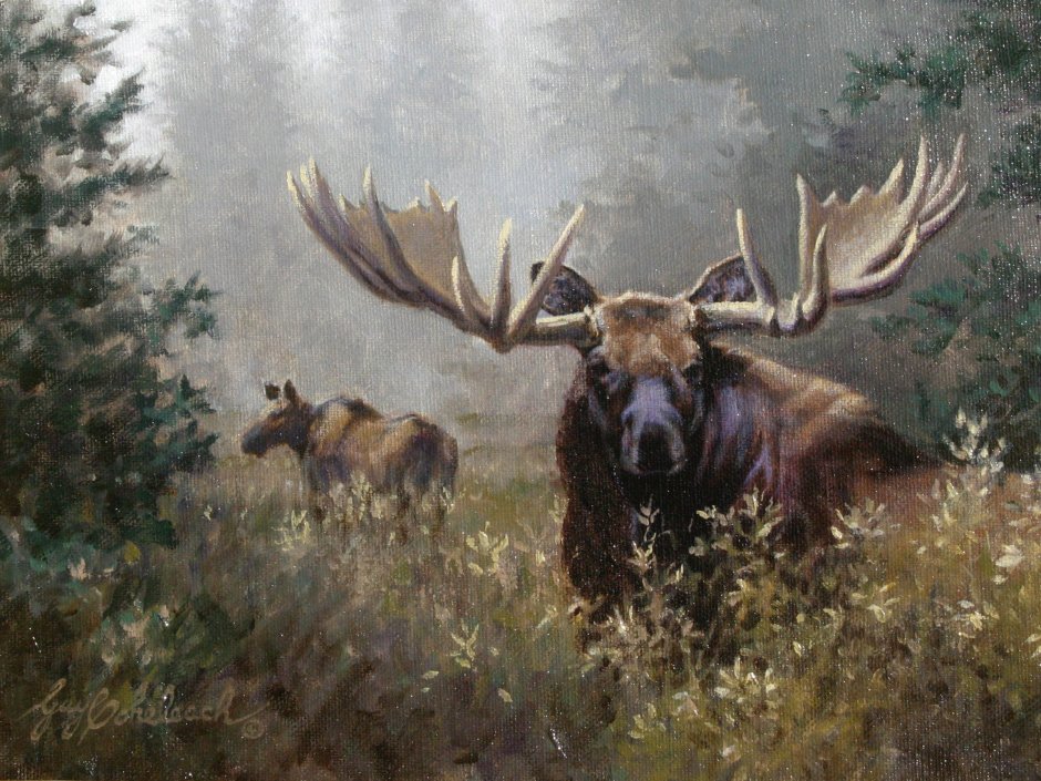 Robert Bateman Лось