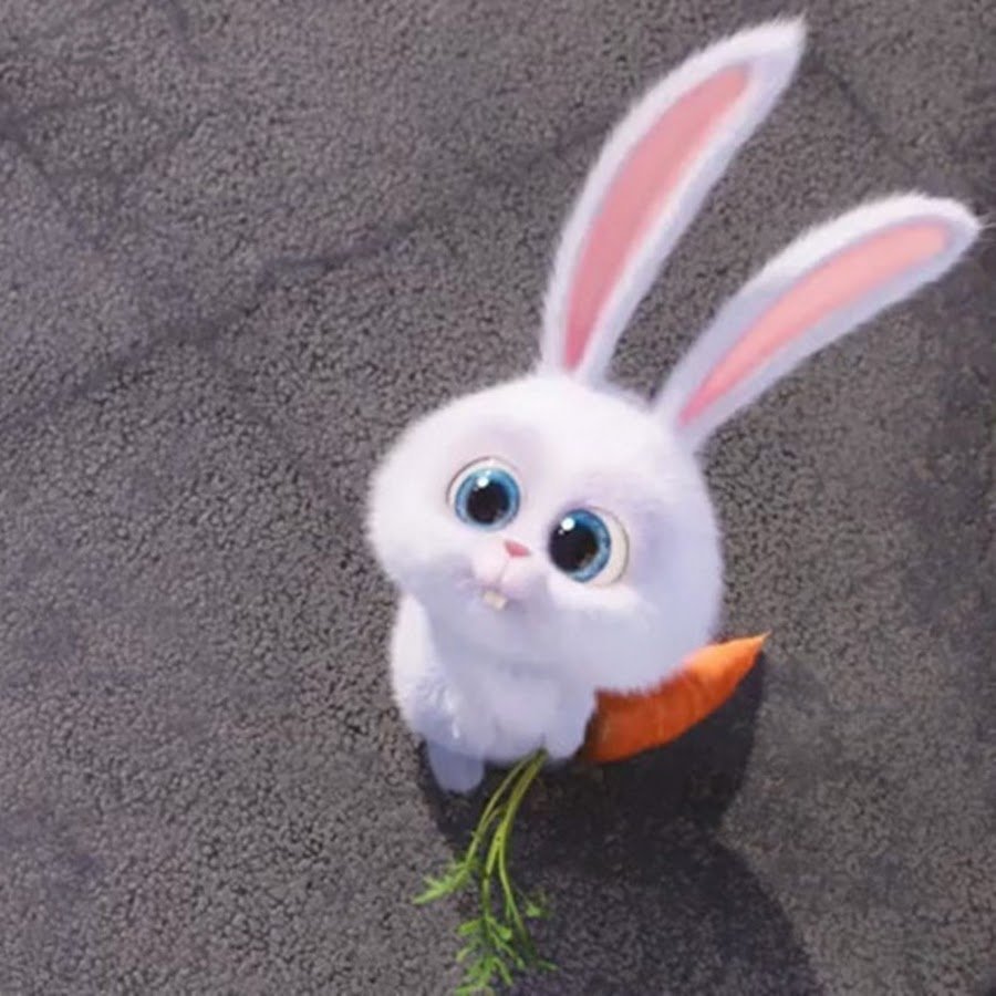 Зайка из мультика Тайная жизнь