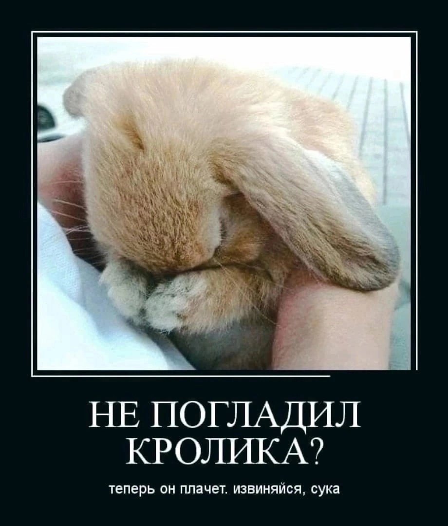 Обидели зайку