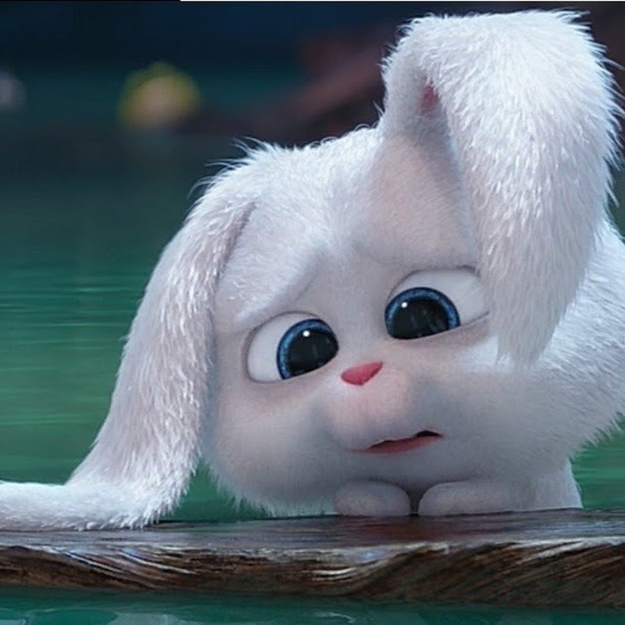 Тайная жизнь домашних животных заяц снежок