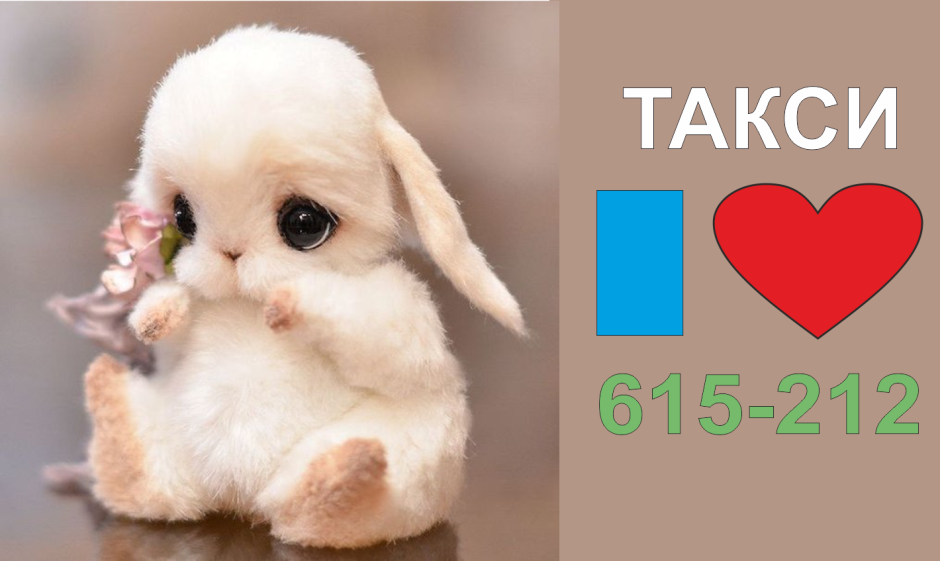 Милый зайчик