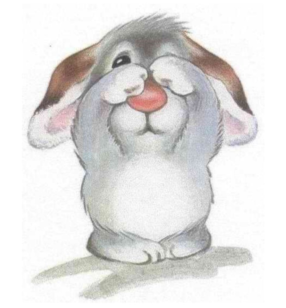 Трусишка Зайка