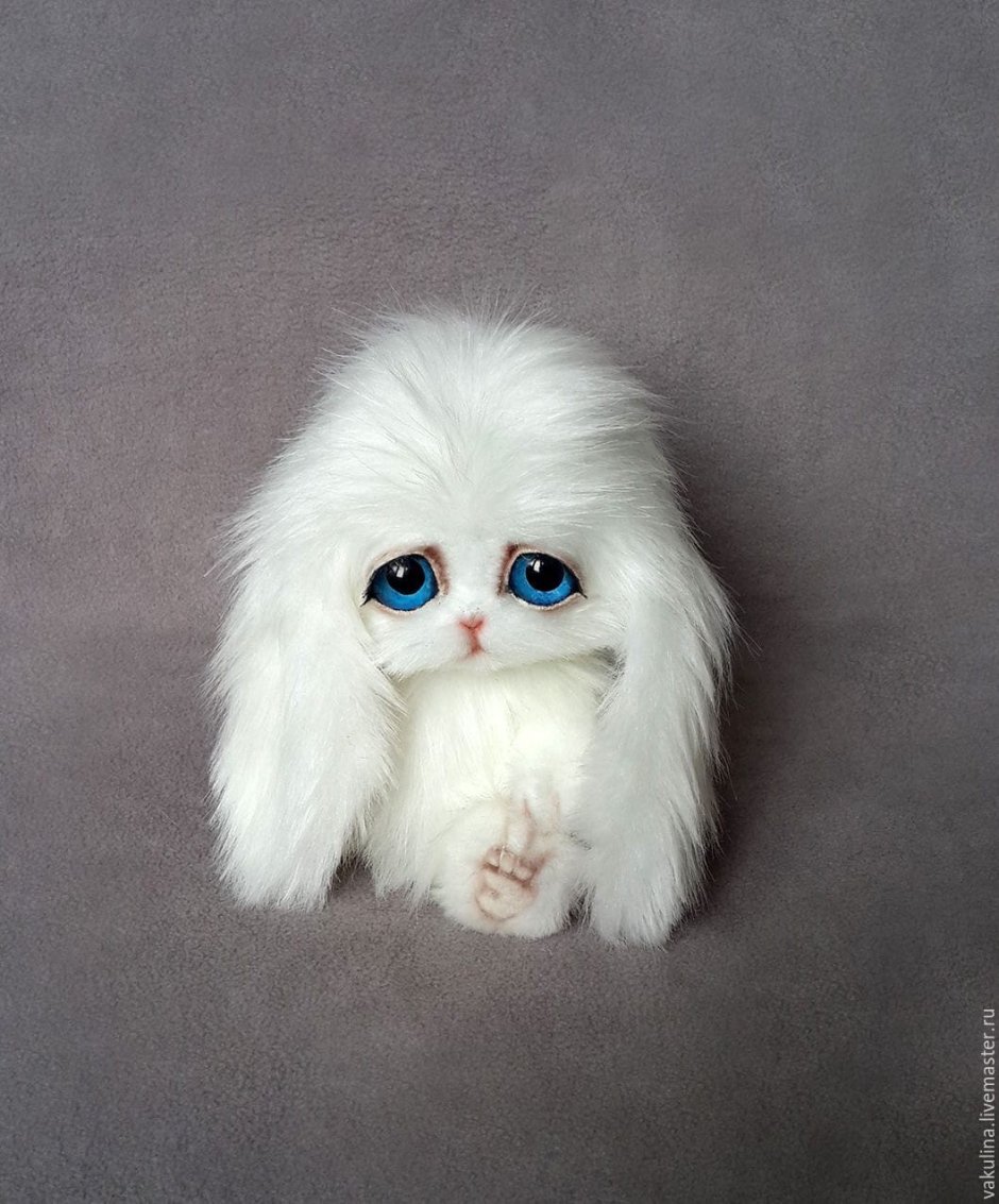 Зайка грустит