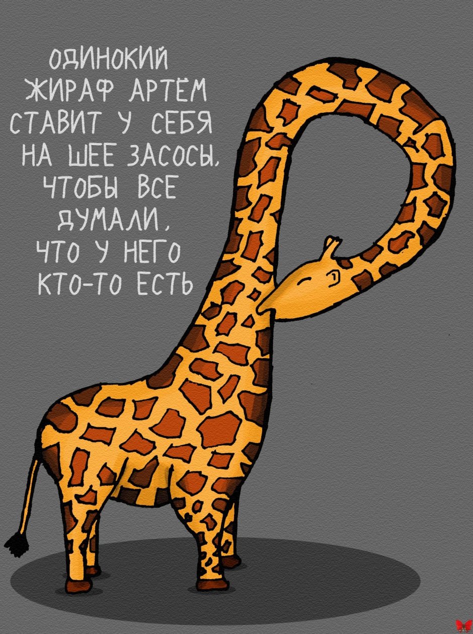 Приколы с жирафами