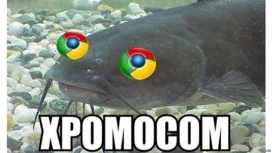 Мемы про рыб