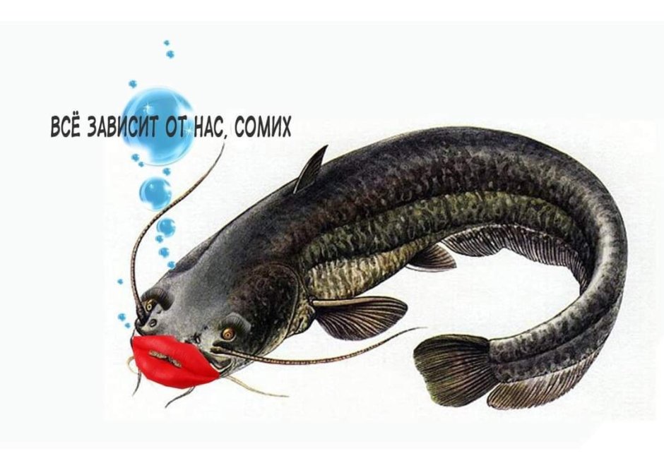 Все зависит от нас сомих