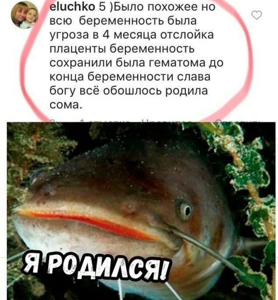 Рожу сома