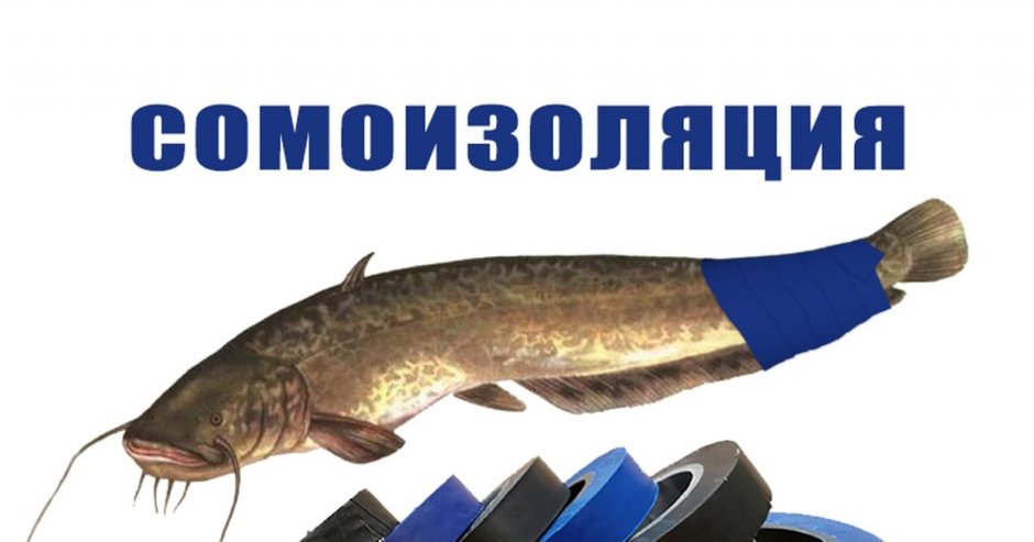 Сома изоляция
