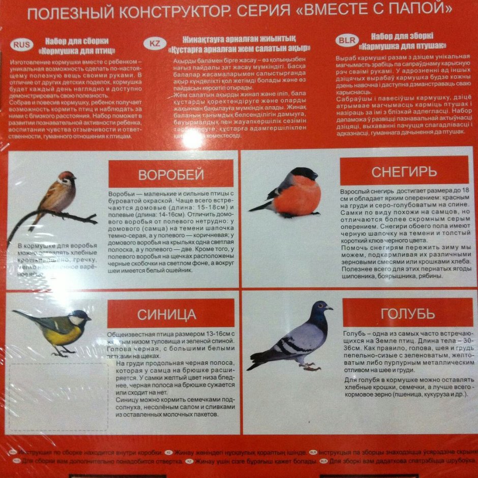 Чем можно подкормить снегирей зимой