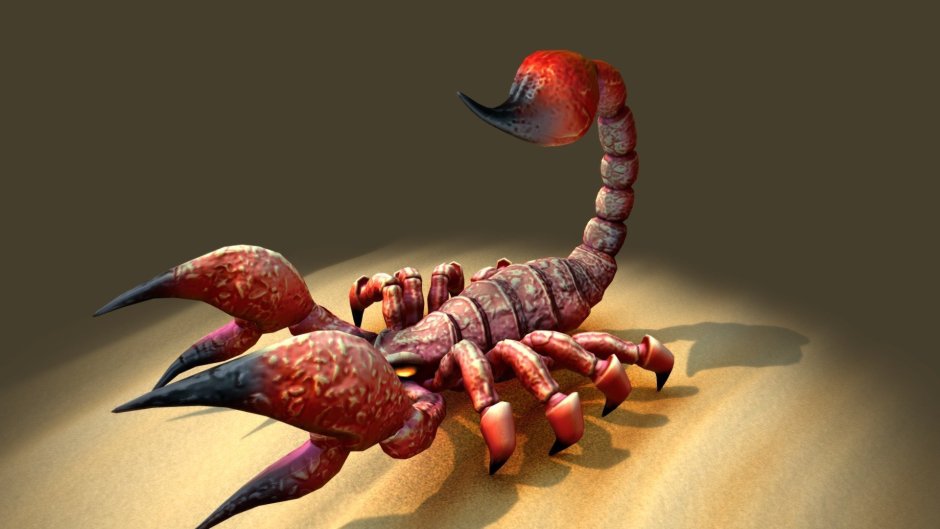 Скорпион на черном фоне