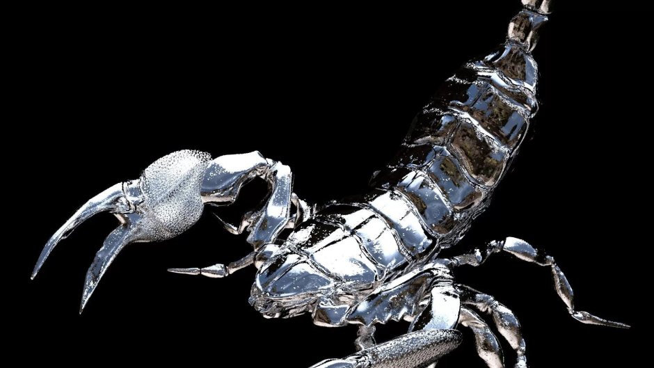 Скорпион абстракция