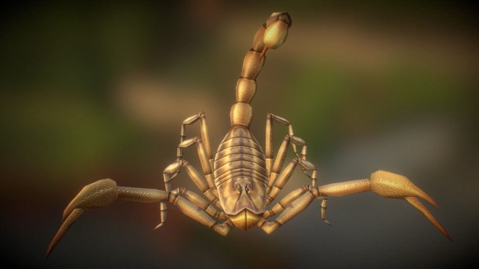 Гробница короля скорпионов