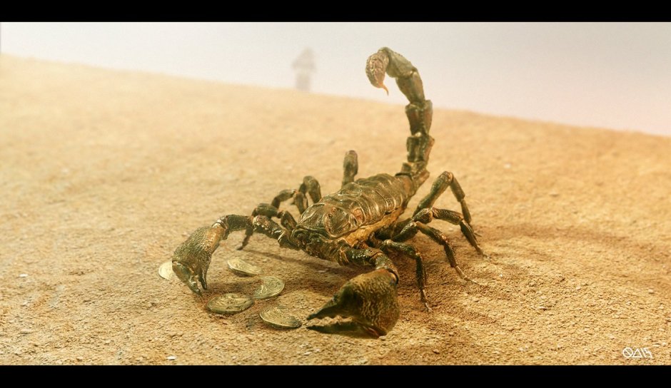 Скорпион обои