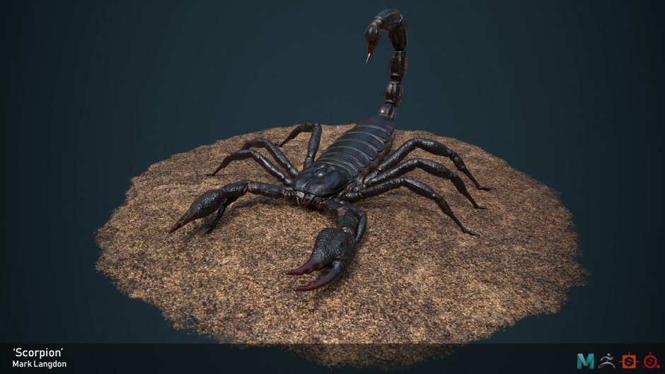 Стрипедтальский Скорпион