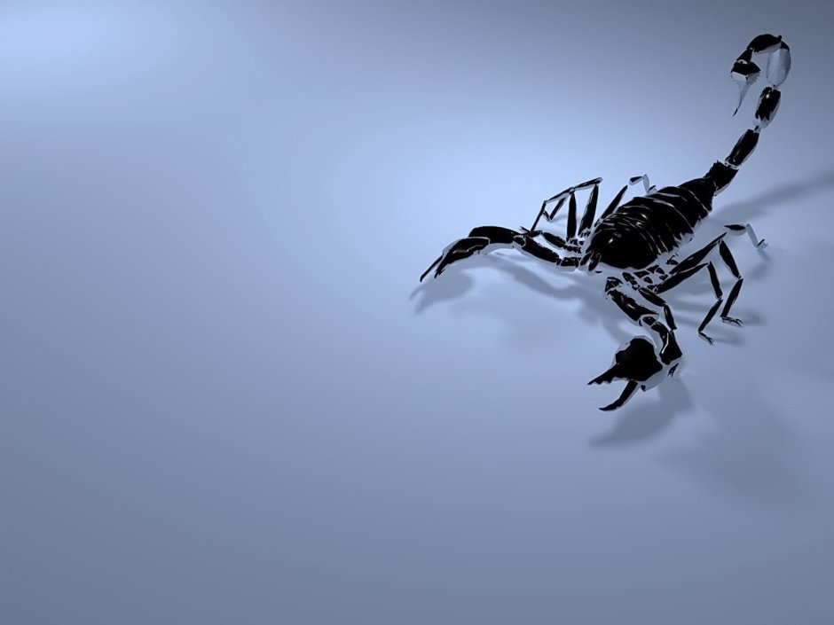 Золотой Скорпион на черном фоне