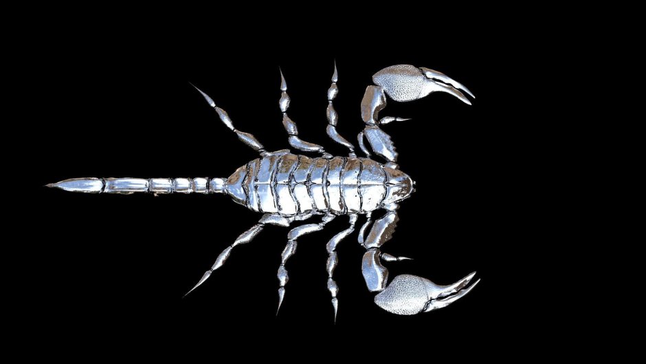 Картинки на рабочий стол Скорпион