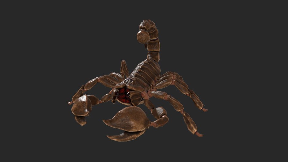 Жало скорпиона