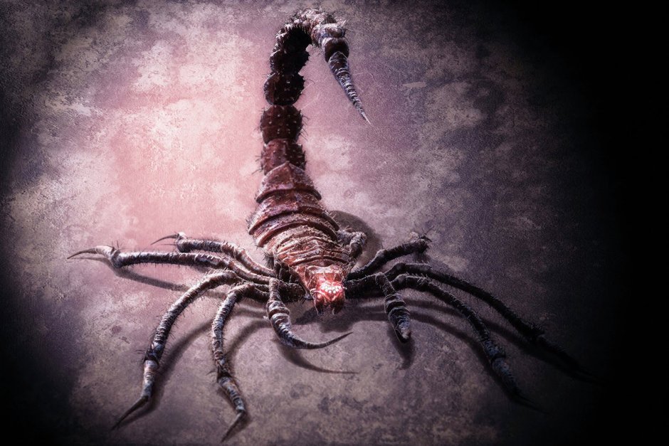 Египетский Скорпион