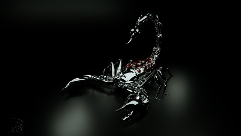 Паук краб Арахнид