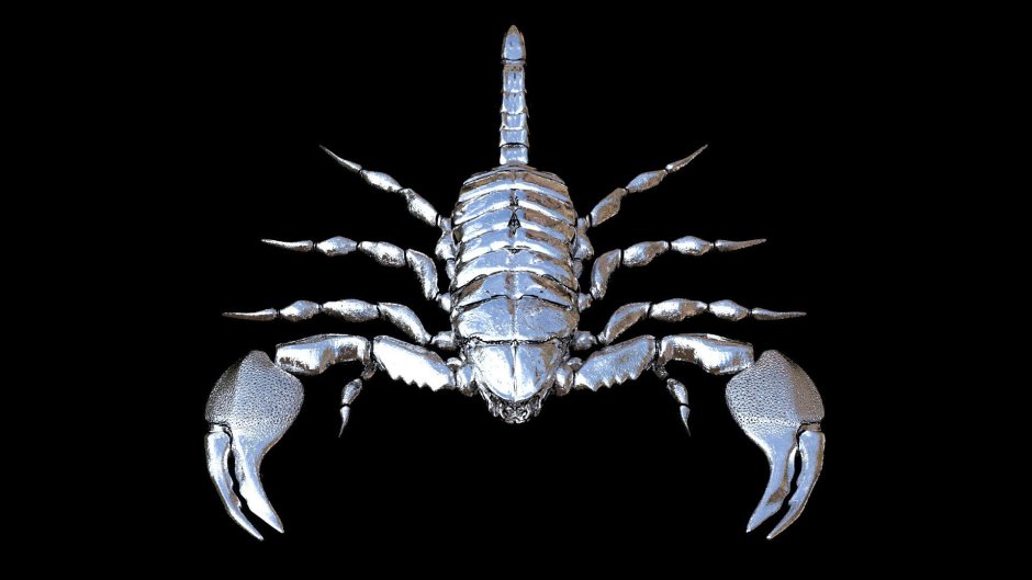 Скорпион обои