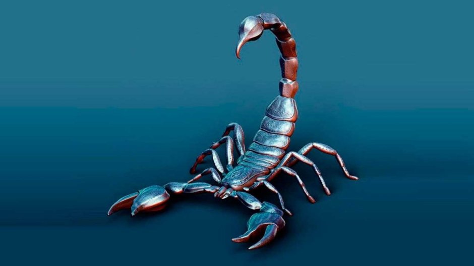 Скорпион обои