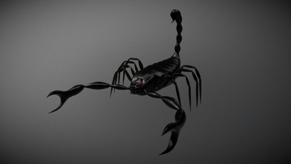 Скорпион на заставку