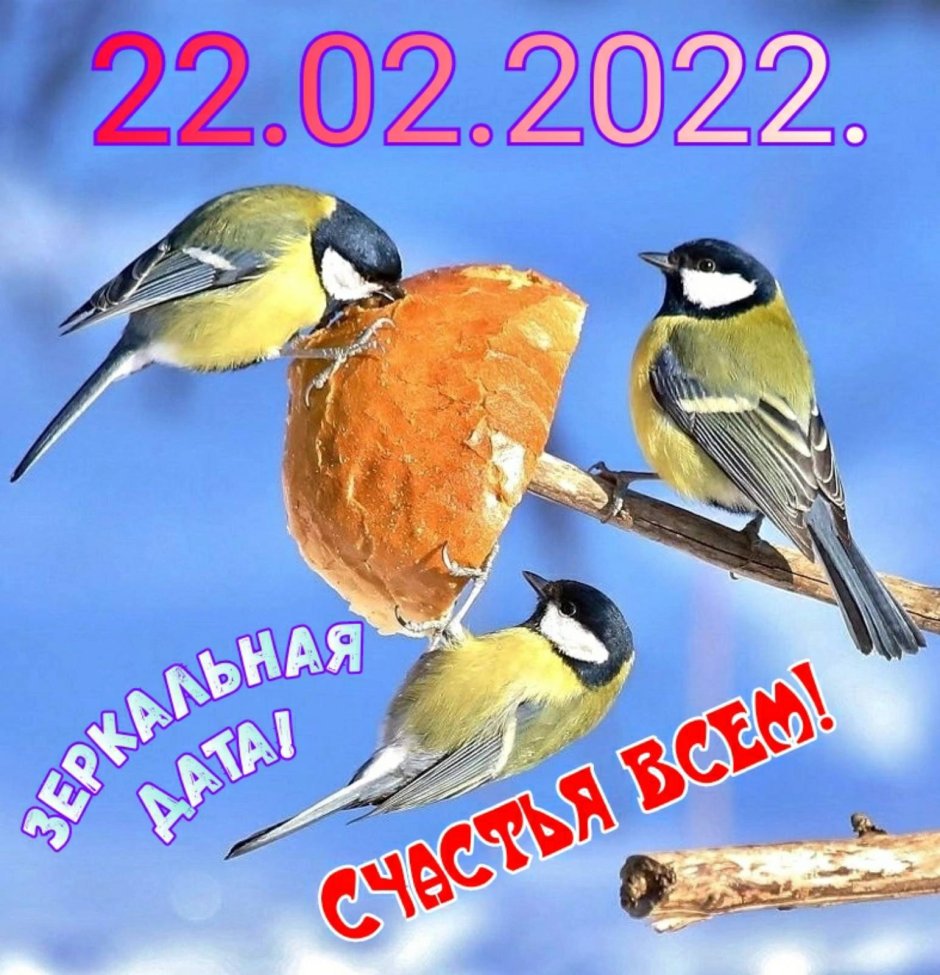 Синичка и Снегирь