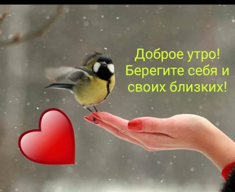 Птичка синичка в руках