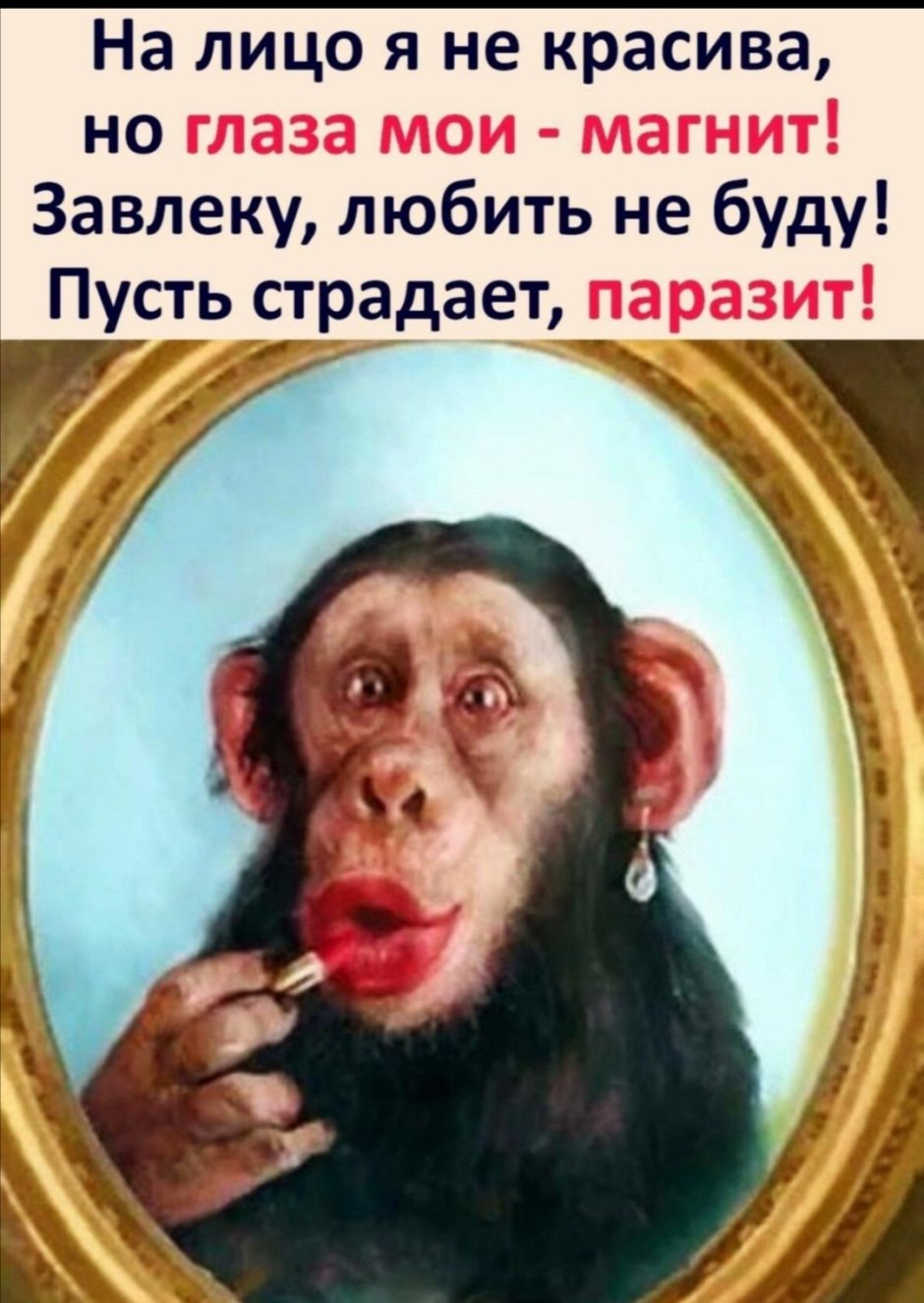 Забавные обезьяны