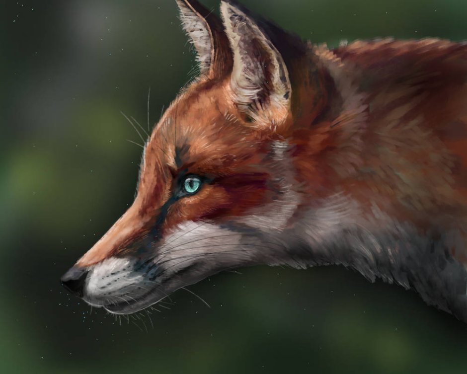 Морда лисы в профиль